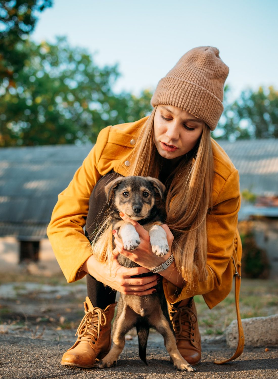 woman-volunteer-meeting-homeless-dog-puppies-in-fall-nature-background-pet-love-caring-for-pets.jpg